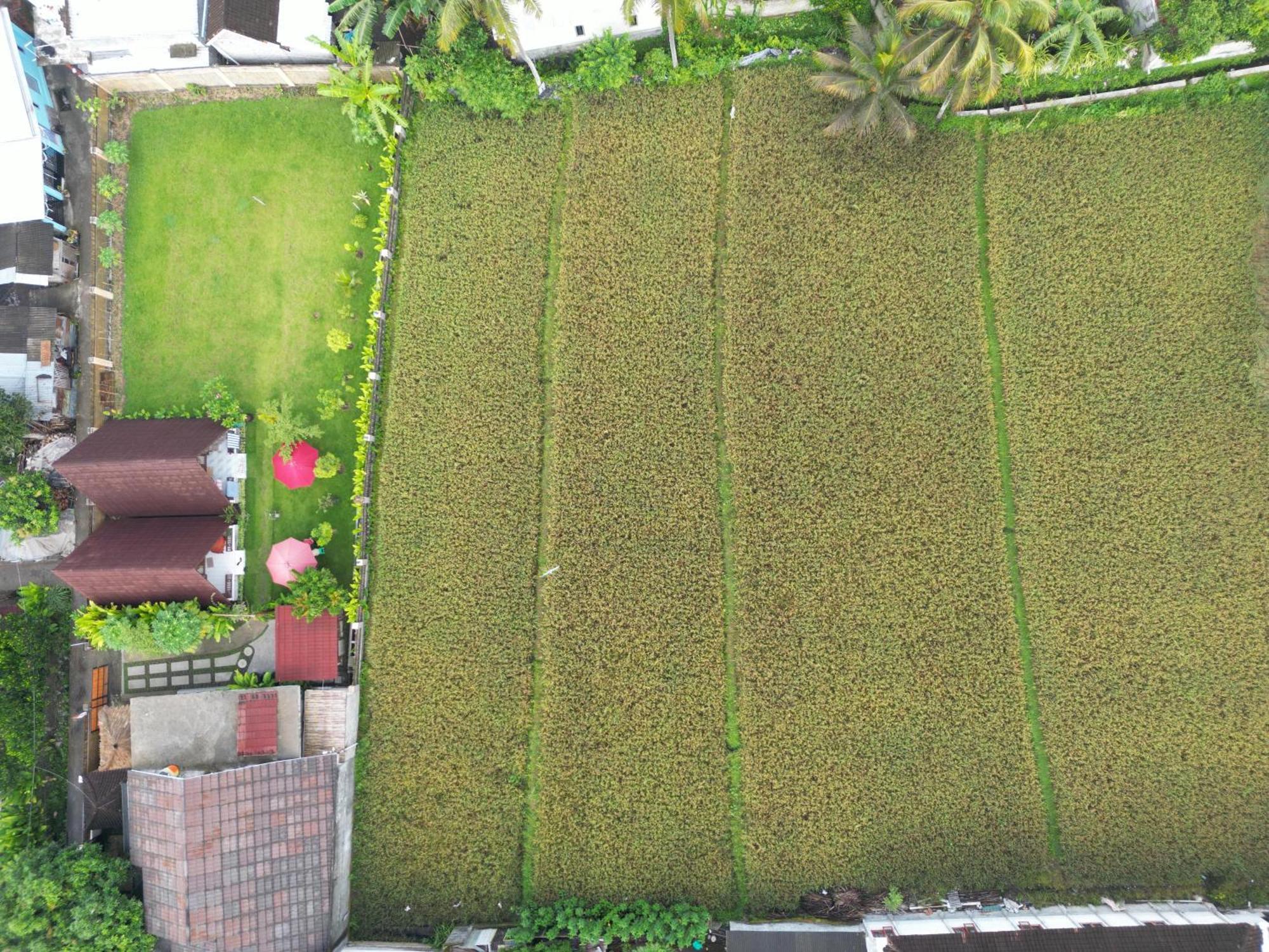 D' Carasti Bungalow Masbagik ภายนอก รูปภาพ